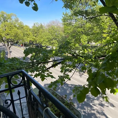 Апартаменти Cozy Flat 5 Констанца