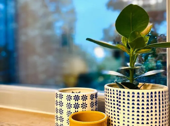 Apartament Cozy Flat 5 Constanţa