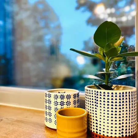 Apartment Cozy Flat 5 Constanta