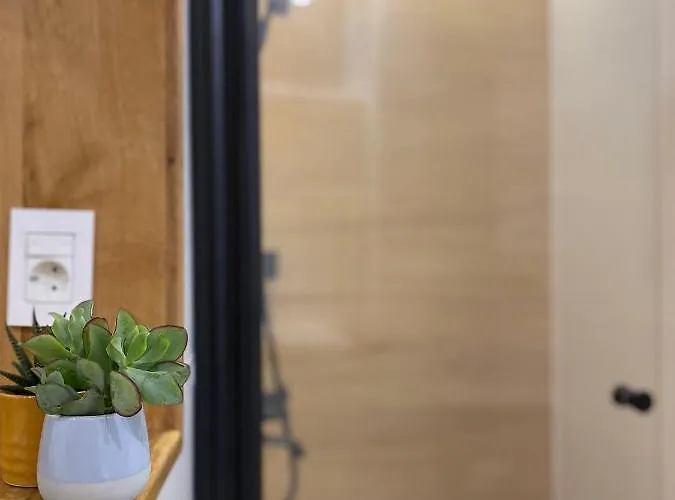 Cozy Flat 5 コンスタンツァ