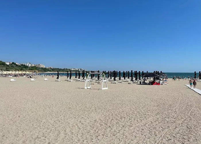 Cozy Flat 5 コンスタンツァ